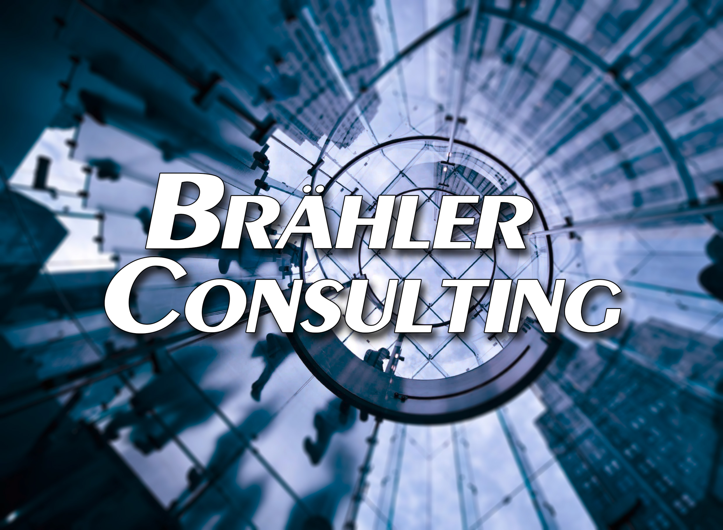 Brhler Consulting